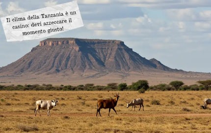 clima tanzania
